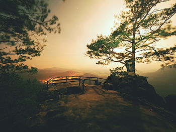 Scenic view of trees against sky during sunset