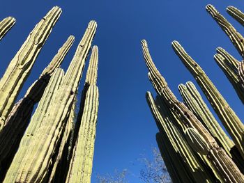 Low angle view of old building against clear blue sky