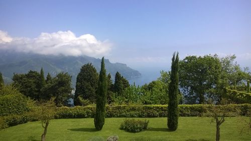 Scenic view of landscape against cloudy sky