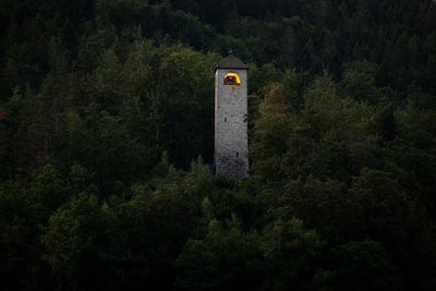 Built structure amidst trees and plants in forest