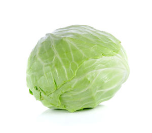 Close-up of green leaf against white background