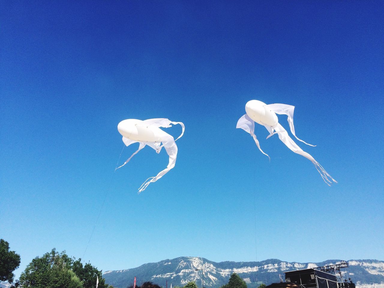 blue, mountain, clear sky, animal themes, bird, animals in the wild, mountain range, beauty in nature, wildlife, tranquil scene, nature, scenics, copy space, tranquility, seagull, flying, zoology, non-urban scene, outdoors, majestic, day, mountain peak