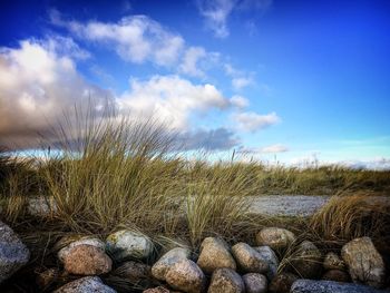 Scenic view of river against cloudy sky