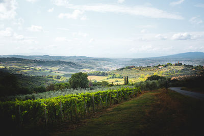 Scenic view of farm against sky