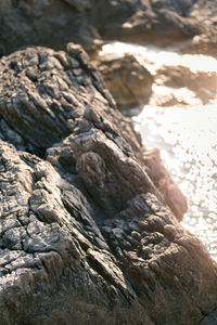 Close-up of rock formation on land