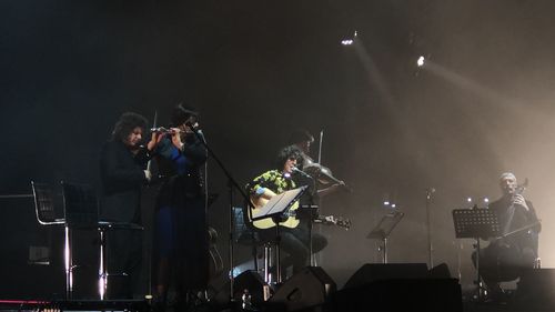 People enjoying music concert at night