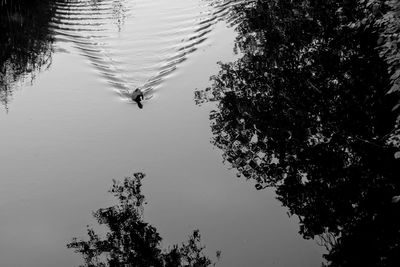 High angle view of a lake