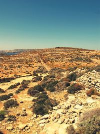 Scenic view of landscape against clear sky