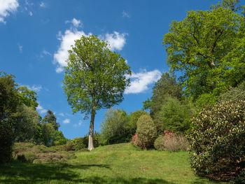 Trees on field against sky