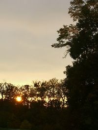 Low angle view of silhouette trees against sky during sunset