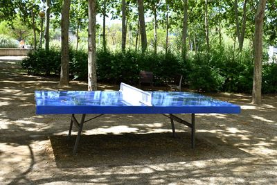 Empty bench by swimming pool in forest