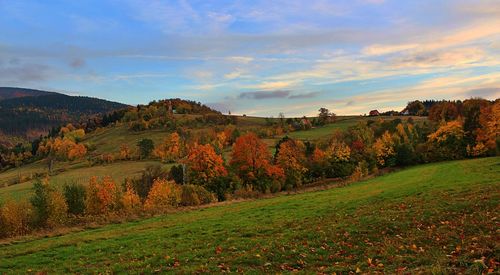 Scenic view of field against sky during autumn