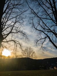 Silhouette bare trees on field against sky at sunset