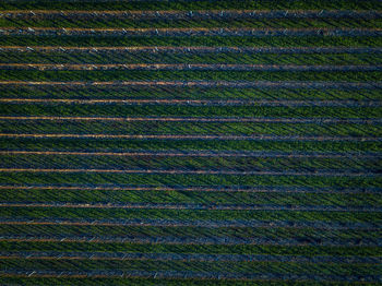 Full frame shot of agricultural field