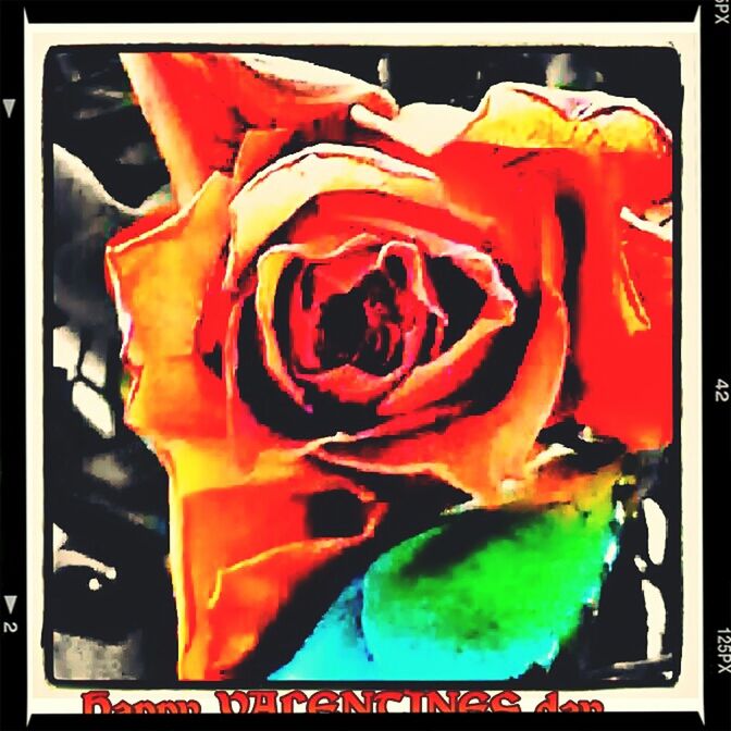 transfer print, auto post production filter, red, indoors, close-up, multi colored, no people, high angle view, orange color, art and craft, freshness, still life, day, frame, creativity, vibrant color, art, panoramic, rose - flower