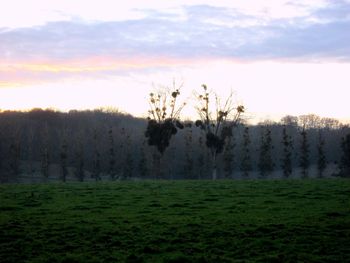 Scenic view of field against cloudy sky