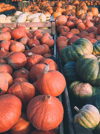 Full frame shot of pumpkins for sale at market stall