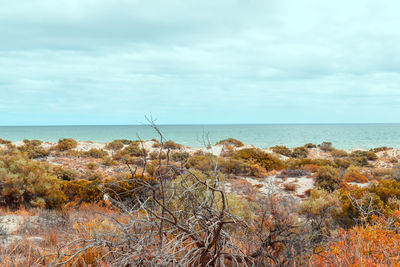 Scenic view of sea against sky