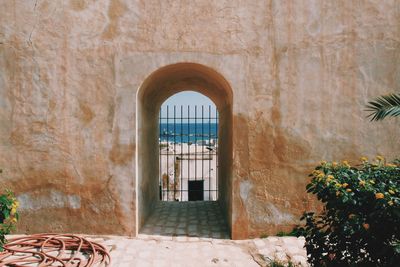 Front view of a gate in a wall