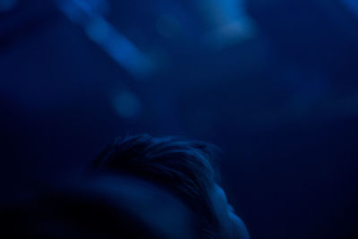 Rear view of woman against blue sky at night