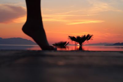 Silhouette tree by sea against sky during sunset