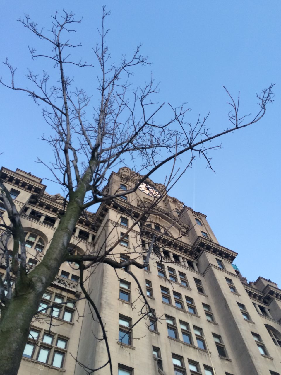 architecture, building exterior, built structure, low angle view, clear sky, history, old, bare tree, religion, place of worship, the past, famous place, travel destinations, blue, tree, sky, tower, day, branch