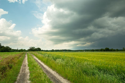 Dark storm clouds and dirt road next to green grain, summer cloudy day