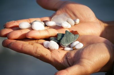 Close-up of person holding pebbles