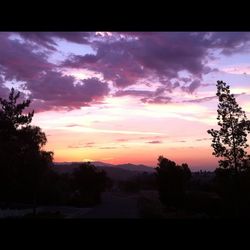 Scenic view of landscape against cloudy sky