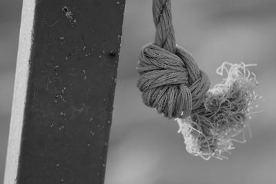 Close-up of knotted rope by metallic pole at beach