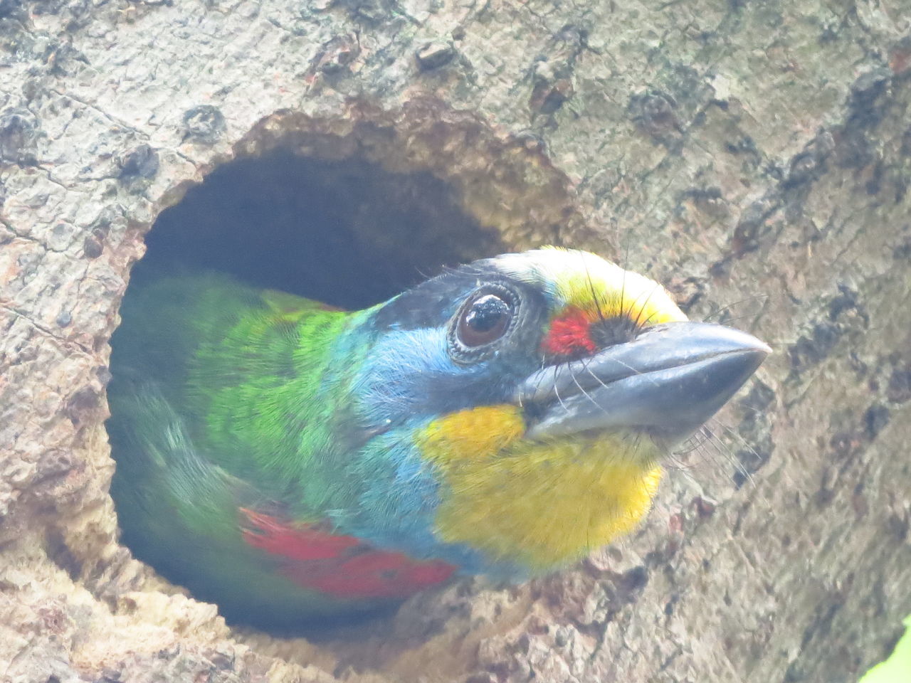 CLOSE-UP OF A BIRD