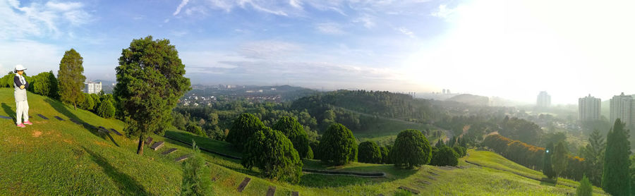 Panoramic view of trees in city against sky