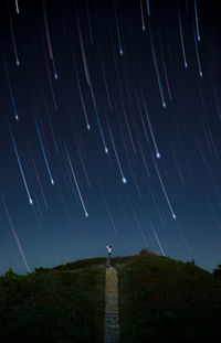 Low angle view of trees
