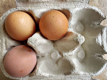 High angle view of eggs in container