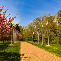 Footpath amidst trees in park against sky