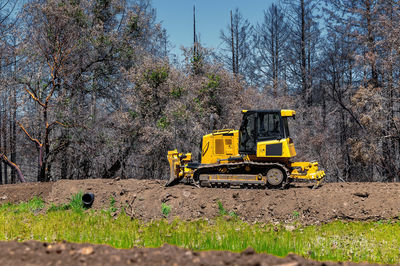 Side view working bulldozer clears area before construction. forest background