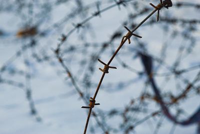 Low angle view of barbed wire against sky