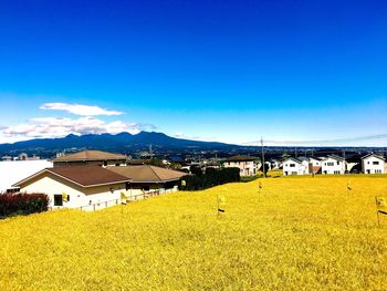 Houses on field against blue sky