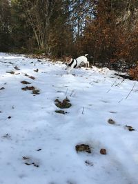 Scenic view of snow covered landscape