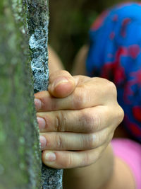 Close-up of hand holding tree trunk