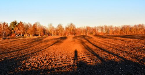 Panoramic view of agricultural field against sky