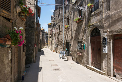 Narrow alley amidst buildings in town