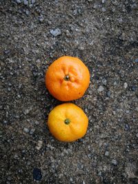 High angle view of orange on ground