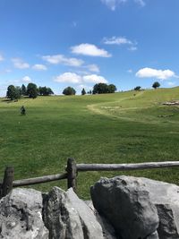 Scenic view of field against sky