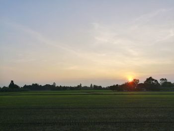 Scenic view of field against sky during sunset