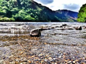 Surface level of rocks on shore