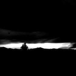 silhouette