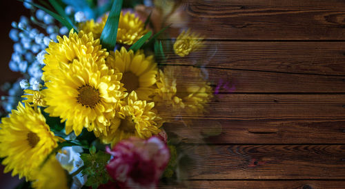 Close-up of yellow flowering plant