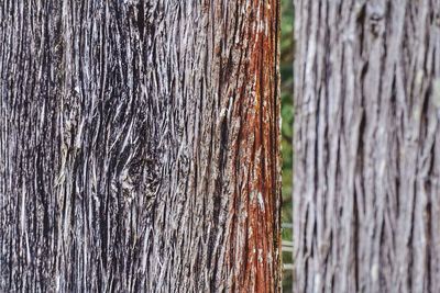 Full frame shot of wooden wall