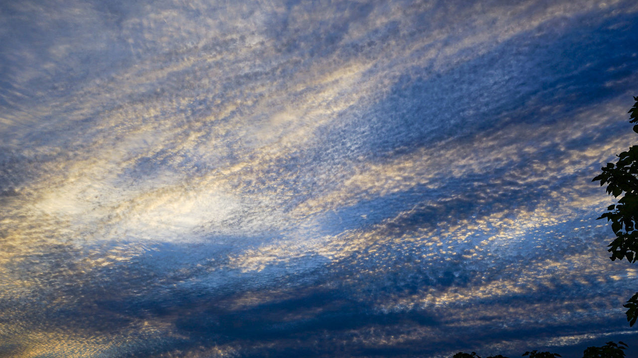 LOW ANGLE VIEW OF CLOUDS IN BLUE SKY